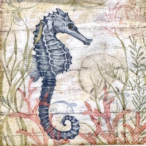 Decoupage Napkins, Seahorse Napkin, Ocean Life Napkin, Nautical Napkin, Sea Life Napkin, Oyster Shell Decoupage, Set of 3