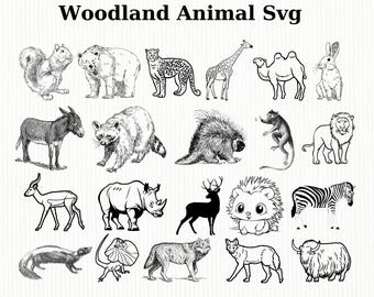 Woodland animals Svg ,Animals Clipart ,Animals Svg ,Animals Vector ,Animals Svg Bundle ,Animal Png ,Digital Download ,Animals bundle png