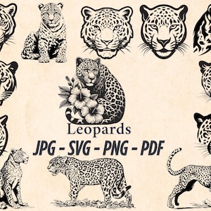 Puede incluir: Ilustraciones de leopardos en blanco y negro. La imagen incluye varios retratos de cabezas de leopardo, representaciones de cuerpo completo y la palabra "Leopards" con opciones de formato de archivo: JPG, SVG, PNG y PDF.
