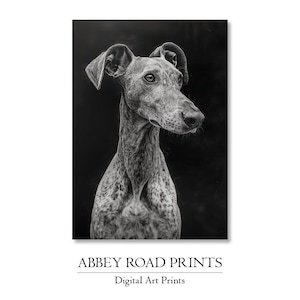 Plakat Greyhound Dog dla właściciela psa Prezent dla miłośnika psów Plakat Greyhound do druku Cyfrowy plakat artystyczny