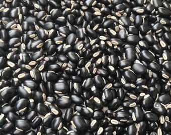 Mucuna pruriens/aptamarind/cowage/lacuna/sammetsböna/böna/pulver