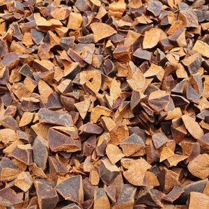 Kola nitida /Kola acuminata/ Kola nuts / dried chips /Powder