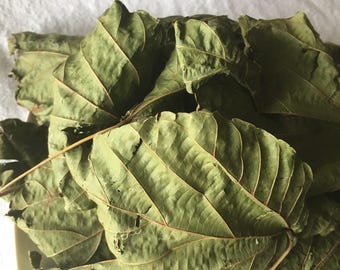 May include: A pile of dried green leaves, likely for herbal tea or medicinal purposes.