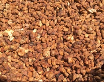 Voacanga Africana/small-fruit/voacanga D'afrique/ Seeds - Powder
