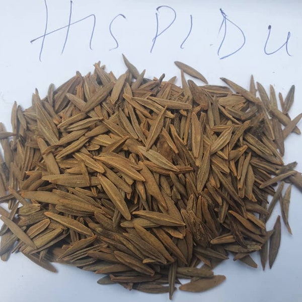 Strophanthus hispidus/ bird seeds -1000g/1kg