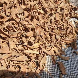 ボアカンガアフリカーナ30g ボアカンガ・アフリカーナの種 - マルシェ青空