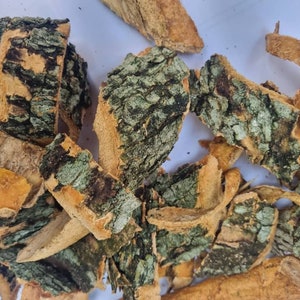 Alstonia boonei /God&#39;s tree /cheese wood/Alstonia /Ekuk/ bark -1000g/1kg
