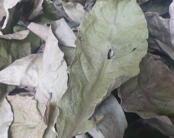 May include: A pile of dried, light green leaves. The leaves are wrinkled and have a natural, earthy texture.