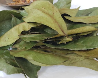 Può includere: Un mucchio di foglie verdi secche, probabilmente utilizzate per tisane o cucinare.