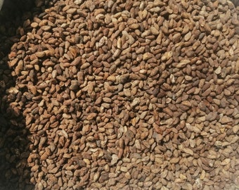 Voacanga africana seeds - 1000g/1kg