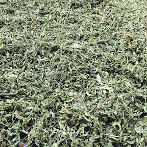 Sida acuta/common wireweed/ Leaves/Roots /Powder