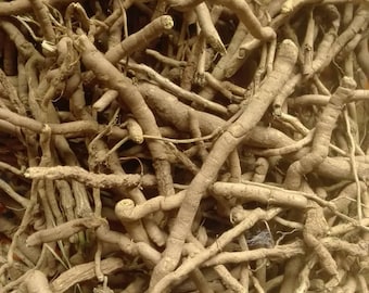 Racines De Gouro - 70g, 100% Naturel, Senteur à Base De Plantes, Neuf