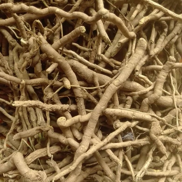 cryptolepis sanguinolenta root -1000g/1kg
