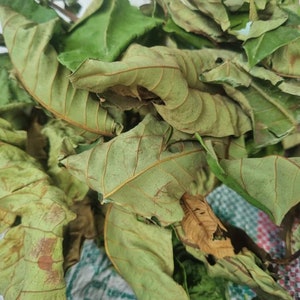 Harungana /horonga madagascariensis leaves dried - 1000g/1kg