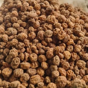 Cyperus esculentus/Tiger nuts/Yellow Nutsedge/Earth almonds -1000g/1kg