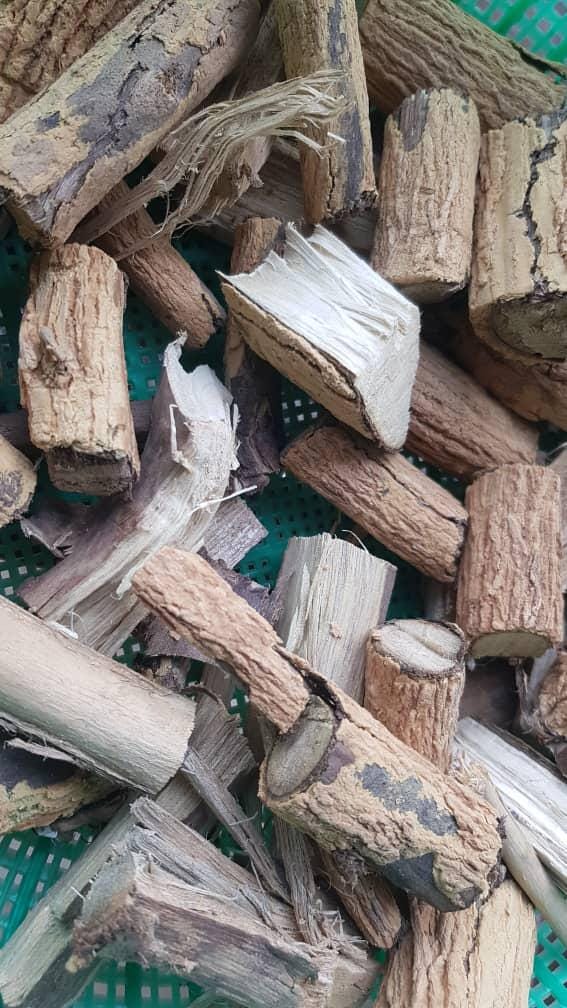 Fagara zanthoxyloides/Prickly ash/ Toothache/Roots/Powder