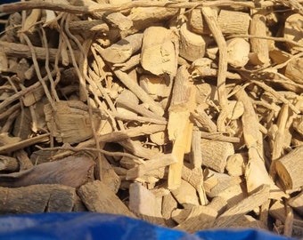 Voacanga africana/small - fruit wild frangi/ Roots /Leaves/Powder