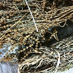 May include: A close-up shot of dried herbs, showing bundles of brown and green stems with tiny, dried flowers. The herbs are tied with natural twine, giving a rustic feel. The image emphasizes the texture and colour variations of the dried plants, suitable for culinary or decorative use.