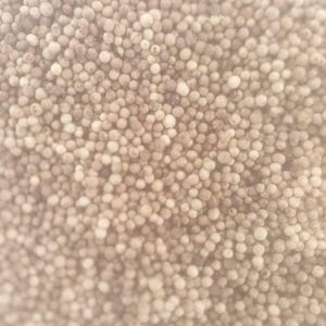 White Peppercorns/White Pepper/Poivre de/Penja/Loum/ White Pepper | Piper nigrum Seed/Balck pepper