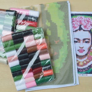 May include: A set of colorful embroidery floss in plastic packaging, a green and white Aida cloth, a printed canvas with a portrait of Frida Kahlo, and a pink needle threader.