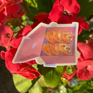 Può includere: Un adesivo raffigurante una scatola rosa con ciambelle dei cartoni animati. Le ciambelle sono arancioni con facce sorridenti. L'adesivo è ambientato su uno sfondo di fiori rossi e foglie verdi.