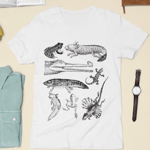 Herpetology Shirt, Reptiles & amphibians vintage style shirt, reptile shirt, amphibian t shirt, Herpetology Gift, Lizard Tee shirt, frog tee