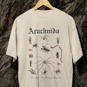 Arachnology Tee, Vintage Spider Shirt, Cottagecore Aesthetic, Arachnids Shirt, Spider bug Tee, Spider Lover Shirt, Cottagecore Insect Shirt