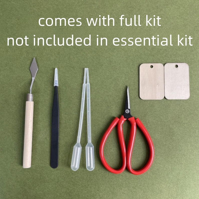 May include: A set of tools for crafting, including a pair of red-handled scissors, two clear droppers, a pair of black tweezers, a wooden-handled sculpting tool, and two small wooden tags.  The text "comes with full kit not included in essential kit" is at the top of the image.