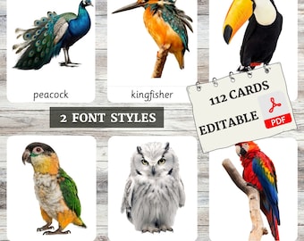 Vogelkaarten • Montessorikaarten • Woordenschat • Nomenclatuurkaarten • Kaarten met 3 delen • Educatief • Bewerkbare pdf • Afdrukbare kaarten