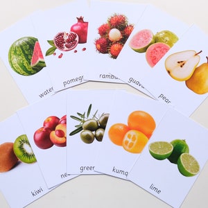 Peut inclure: Cartes m&eacute;moire avec des images et des noms de diff&eacute;rents fruits, dont la past&egrave;que, la grenade, le ramboutan, la goyave, la poire, le kiwi, les olives vertes, le kumquat et le citron vert.