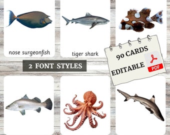 Flashcards zeedieren • Montessori-flashcards • Woordenschat • Nomenclatuurkaarten • Kaarten met 3 delen • Educatief • Bewerkbare pdf • Echte afbeeldingen