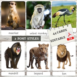 Flashcards voor Safari/Afrikaanse dieren in het wild • Montessori Flashcards • Nomenclatuurkaarten • 3 deelkaarten • Educatief • Bewerkbare PDF
