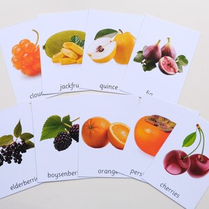 Peut inclure: Cartes m&eacute;moire avec des images et des noms de diff&eacute;rents fruits, dont la camarine, le jacquier, le coing, la figue, la sureau, la m&ucirc;re, l'orange, le kaki et les cerises.