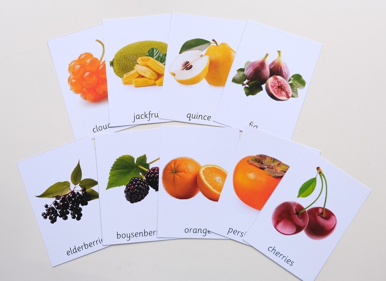 Peut inclure: Cartes m&eacute;moire avec des images et des noms de diff&eacute;rents fruits, dont la camarine, le jacquier, le coing, la figue, la sureau, la m&ucirc;re, l'orange, le kaki et les cerises.