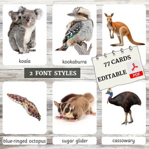 Australian Wildlife Flashcards • Montessori Flashcards • Woordenschat • Nomenclatuurkaarten • 3 deelkaarten • Educatief • Bewerkbare PDF