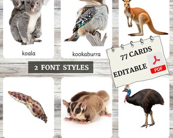 Australian Wildlife-flashcards • Montessori-flashcards • Woordenschat • Nomenclatuurkaarten • Kaarten met 3 delen • Educatief • Bewerkbare pdf