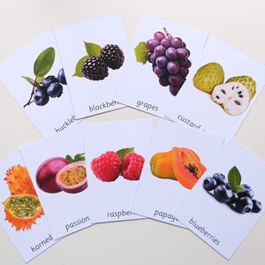 Peut inclure: Cartes m&eacute;moire avec des images et des noms de diff&eacute;rents fruits et baies, notamment des myrtilles, des m&ucirc;res, des framboises, des raisins, des papayes, des fruits de la passion, des melons cornus et des pommes cannelle.