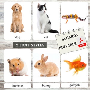 Huisdieren Flashcards • Montessori Flashcards • Woordenschat • Nomenclatuurkaarten • 3 deelkaarten • Educatief • Bewerkbare PDF • Printbare flashcards