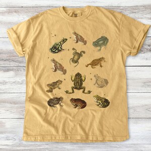 Vintage Frog and Toad graphic Shirt: twelve vintage illustration of frogs and toads decorated with flys printed on a comfort colors shirt.