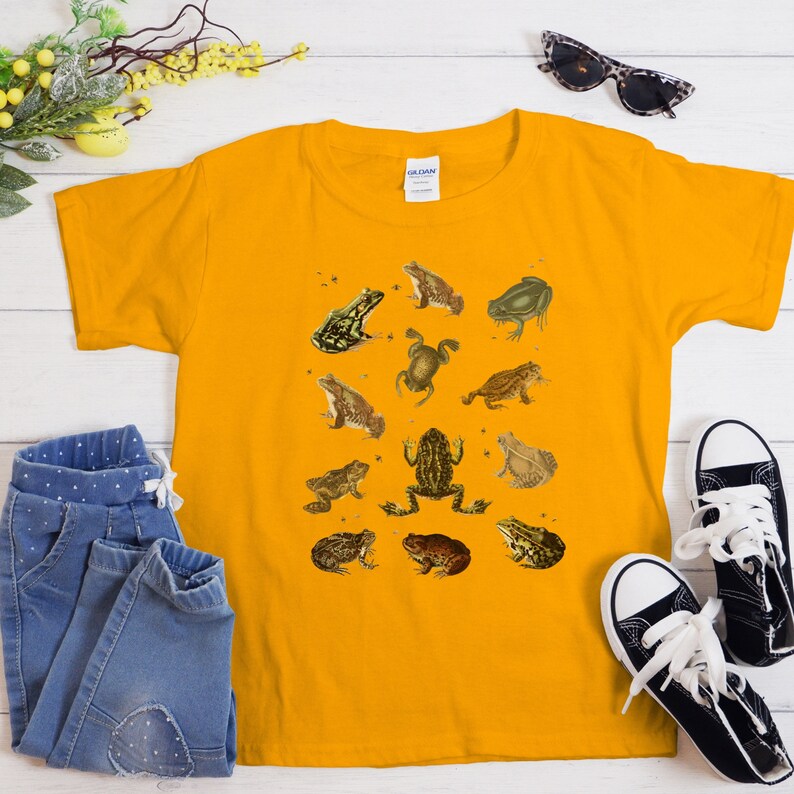 Vintage Frog and Toad graphic Shirt: twelve vintage illustration of frogs and toads decorated with flys printed on a gildan 5000b youth shirt.