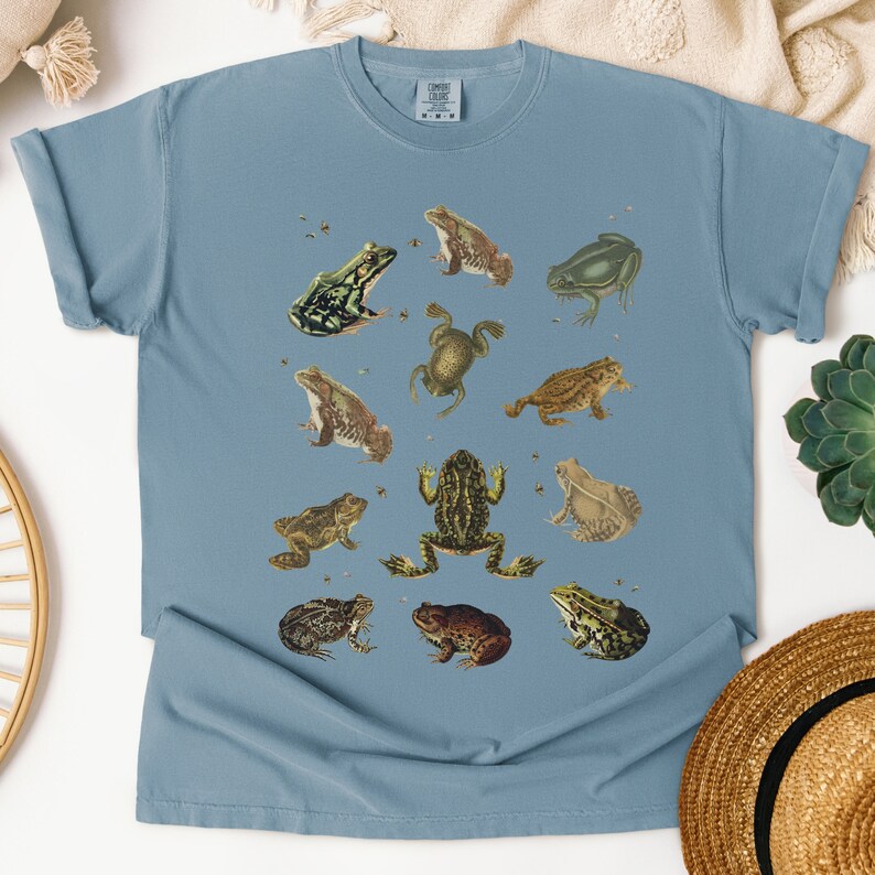 Vintage Frog and Toad graphic Shirt: twelve vintage illustration of frogs and toads decorated with flys printed on a comfort colors shirt.