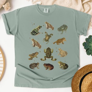 Vintage Frog and Toad graphic Shirt: twelve vintage illustration of frogs and toads decorated with flys printed on a comfort colors shirt.