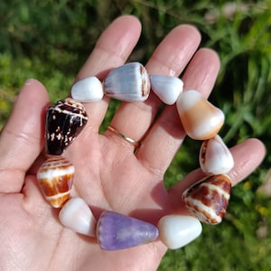 Op de afbeelding: Een armband gemaakt van diverse schelpen in tinten wit, bruin en paars. De armband wordt in een hand gehouden, met een gouden ring zichtbaar. De achtergrond is een vage groene bladermassa.