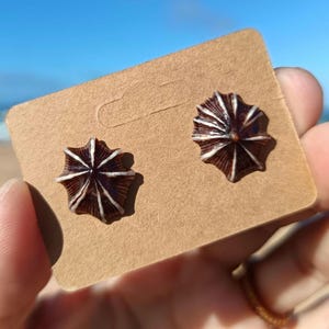 May include: A pair of dark brown stud earrings with white radial stripes, resembling small umbrellas or sea creatures. The earrings are displayed on a tan cardboard backing, held against a backdrop of a blue sky and ocean.