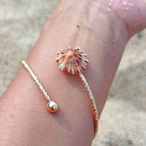 May include: A gold-toned open cuff bracelet featuring a textured, twisted metal band. One end of the bracelet is finished with a smooth, polished gold sphere, while the other end is adorned with a small, natural, fan-shaped seashell.