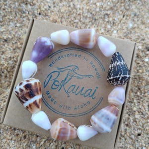 Hawaiian assorted cone shell stretch bracelet, gift for her, unique gift, birthday gift, mother's day gift, handmade gift, Hawaii gift