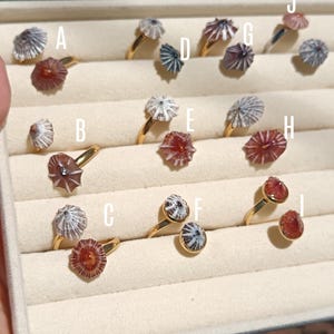 Puede incluir: Una colección de anillos dorados con conchas naturales en varios tonos de marrón, gris y blanco, organizados en una bandeja de exhibición de terciopelo beige. Cada anillo está etiquetado con una letra de la A a la J para identificar el diseño.