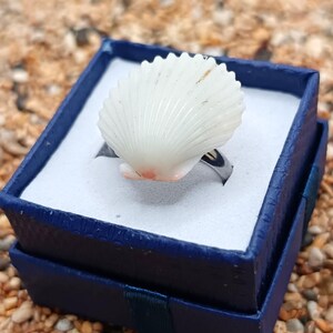 Hawaii Scallop Shell Adjustable Ring - Resin and Stainless Steel - Hawaiian Jewelry -Everyday Ring - handmade gift - Kauai jewelry