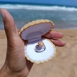 Hawaii brown drupe Shell Adjustable Ring - Resin and Stainless Steel - Hawaiian Jewelry -Everyday Ring - handmade gift - Kauai jewelry