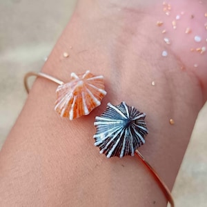 May include: A gold-toned metal cuff bracelet featuring two conical limpet shells attached to the ends. One shell is a vibrant orange with white radial ridges, while the other is a dark charcoal grey with distinct white radial stripes and a pointed apex.